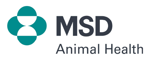 Logos web_MSD